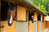 free Badentoy Park stable construction quotes